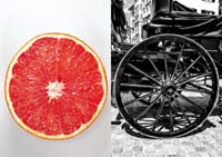 Bild Ausschreibung Ausstellung Fotowettbewerb Rad